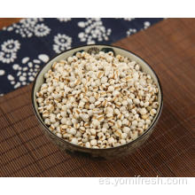 COIX SEED GLUTEN